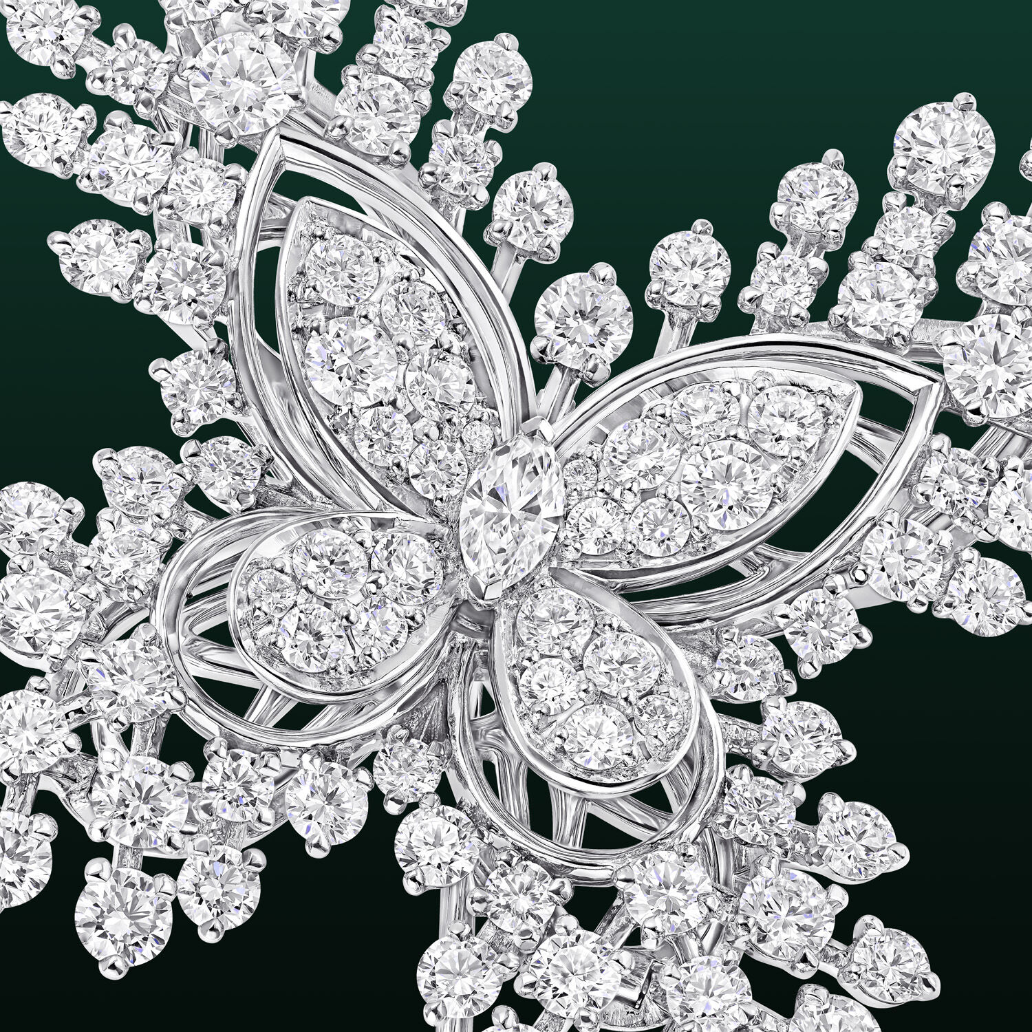 ダフネ, Butterfly Brooch - Graff